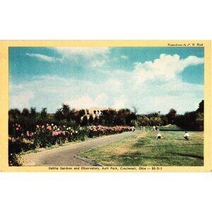 Dahlia Gardens & Observatory Ault Park Cincinnati Ohio Vintage Postcard Unused